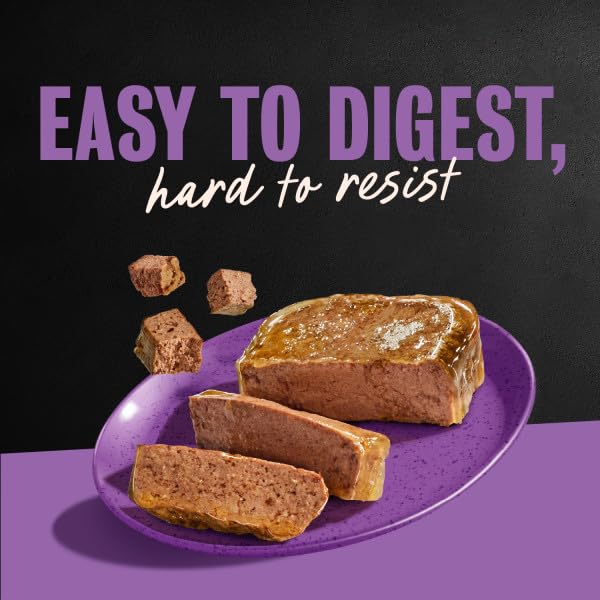 Cesar Classic Loaf in Sauce Wet Dog Food, Meaty Selects, 3.5 oz, 24 Count