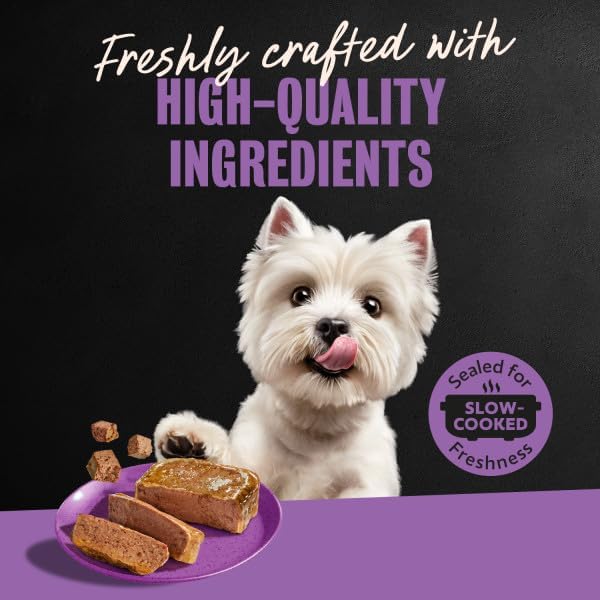 Cesar Classic Loaf in Sauce Wet Dog Food, Meaty Selects, 3.5 oz, 24 Count