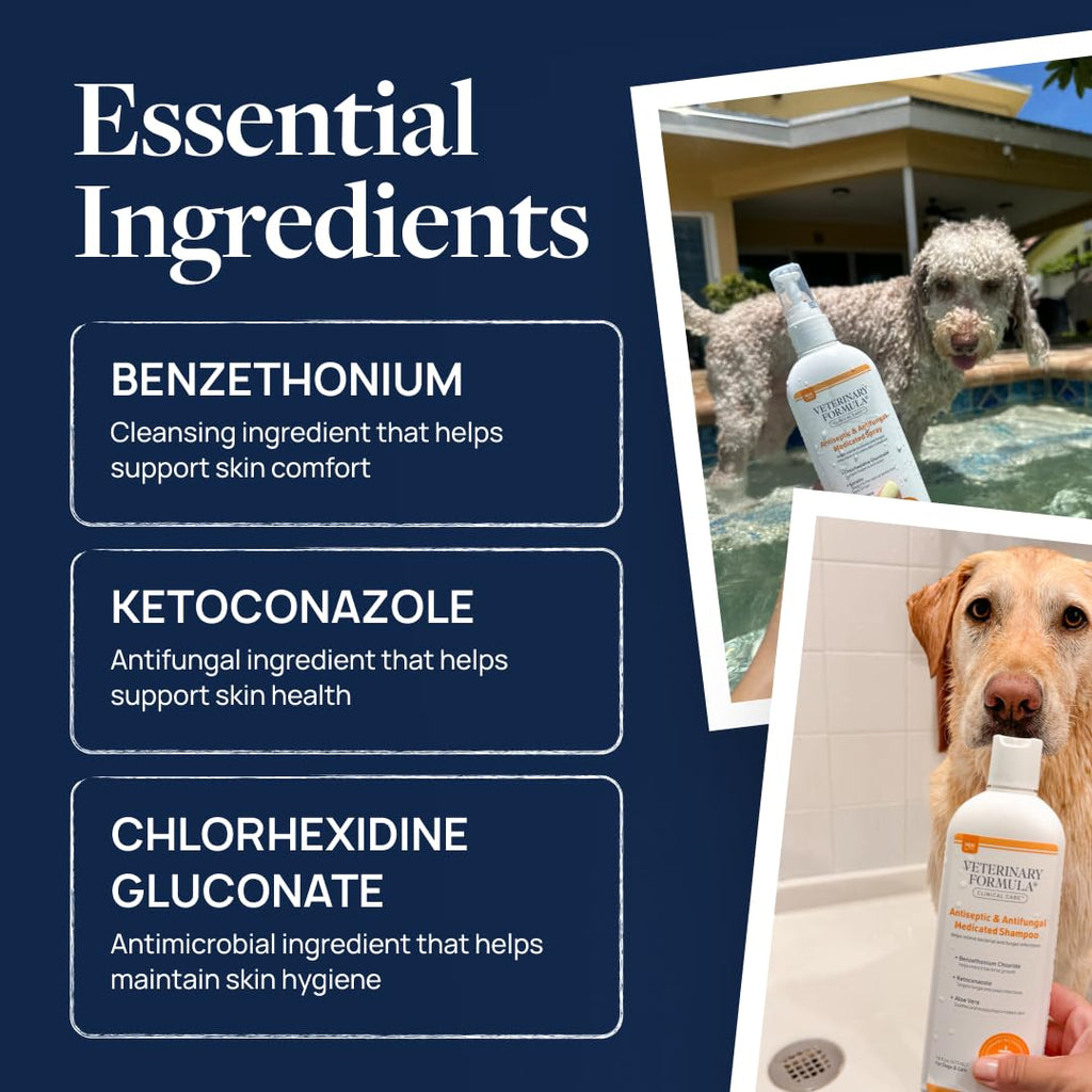 Veterinary Formula Clinical Care Antiseptic & Antifungal Shampoo, 16 oz