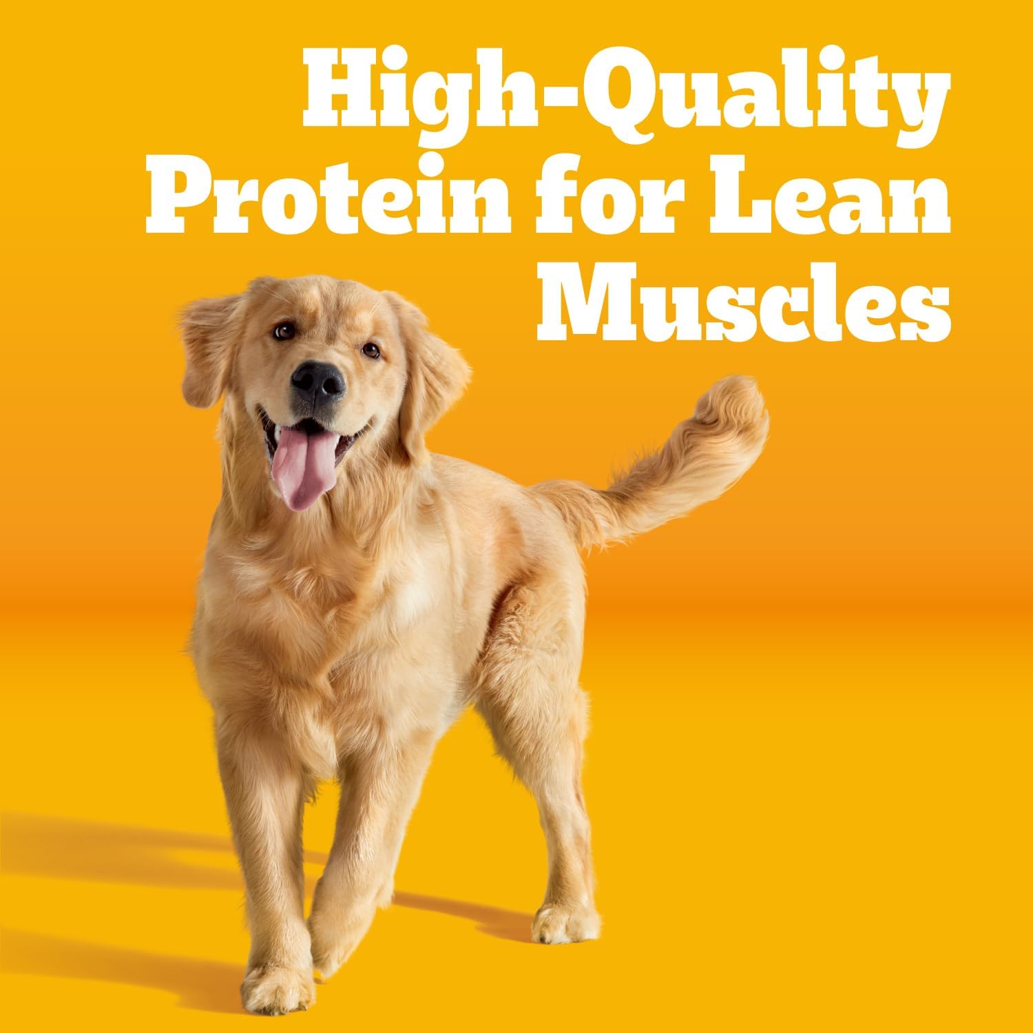Pedigree Complete Nutrition Dry Dog Food, Chicken & Vegetable, 3.5 lb