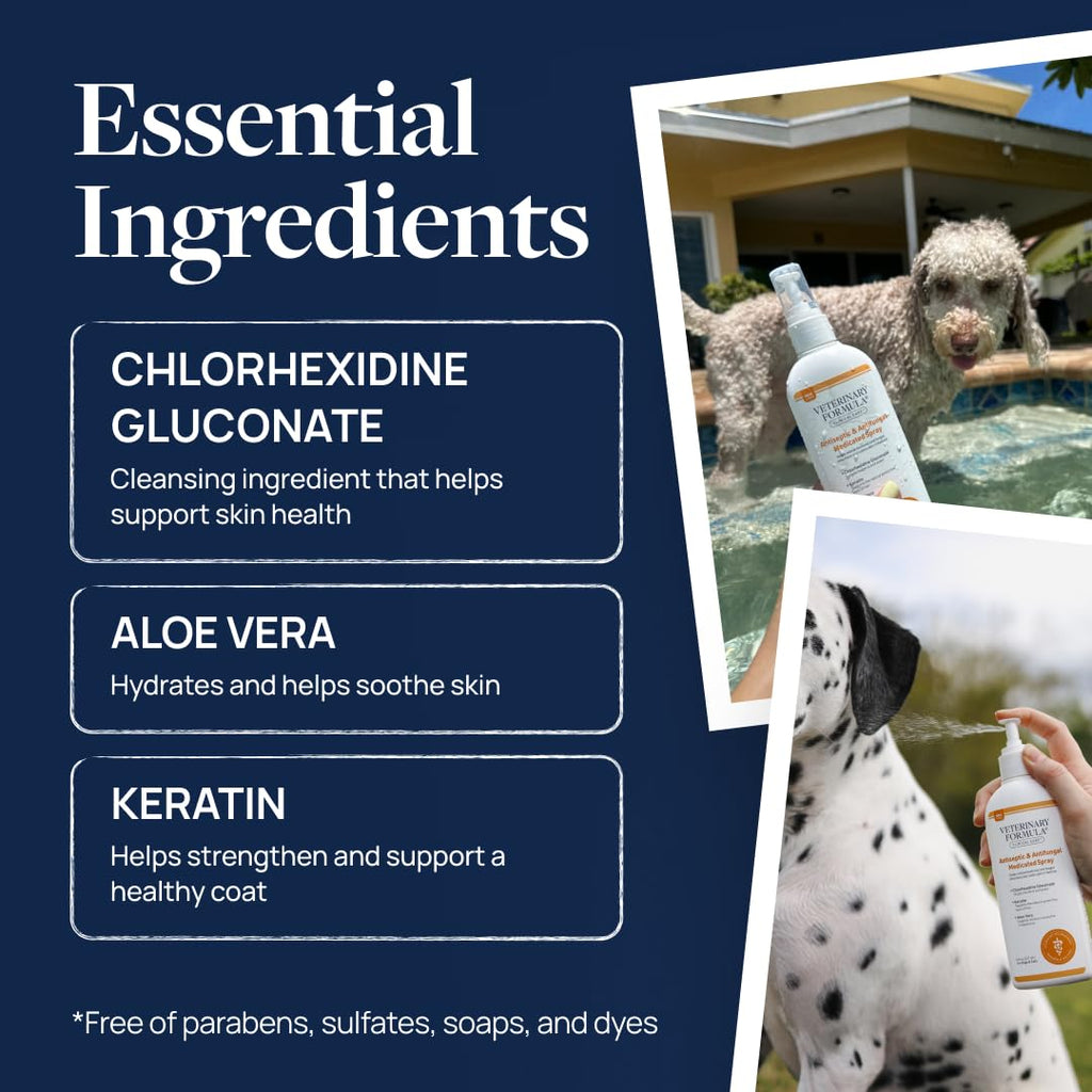 Veterinary Formula Clinical Care Antiseptic & Antifungal Shampoo, 16 oz