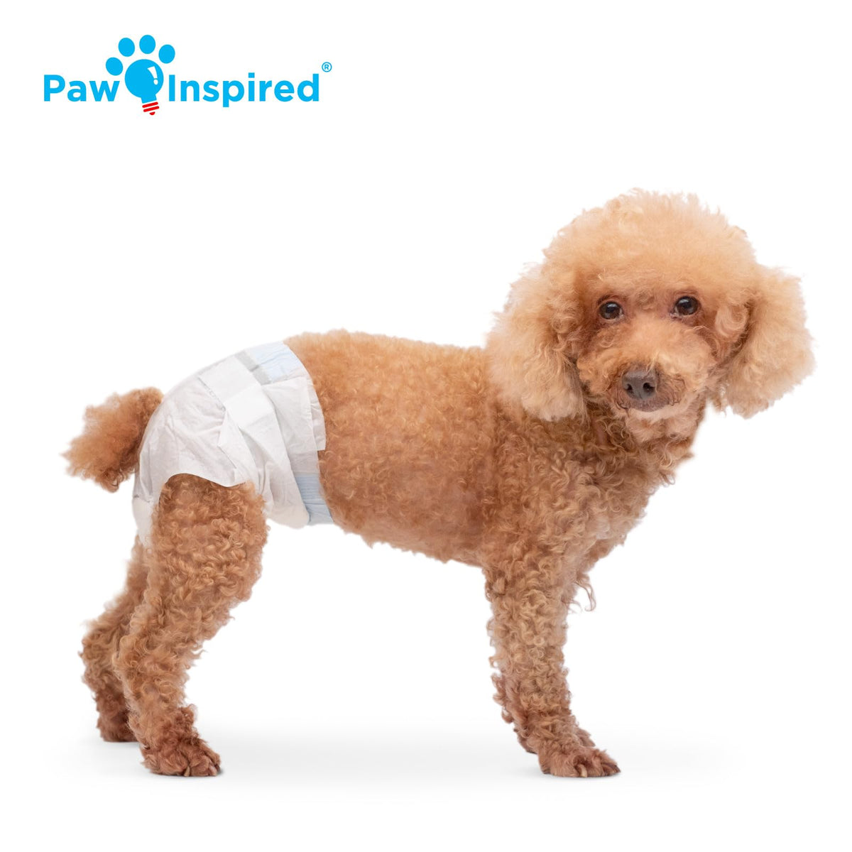 Paw Inspired 32ct Disposable Dog Diapers | Female Dog Diapers Ultra Protection | Diapers for Dogs in Heat, Excitable Urination, or Incontinence (Medium)