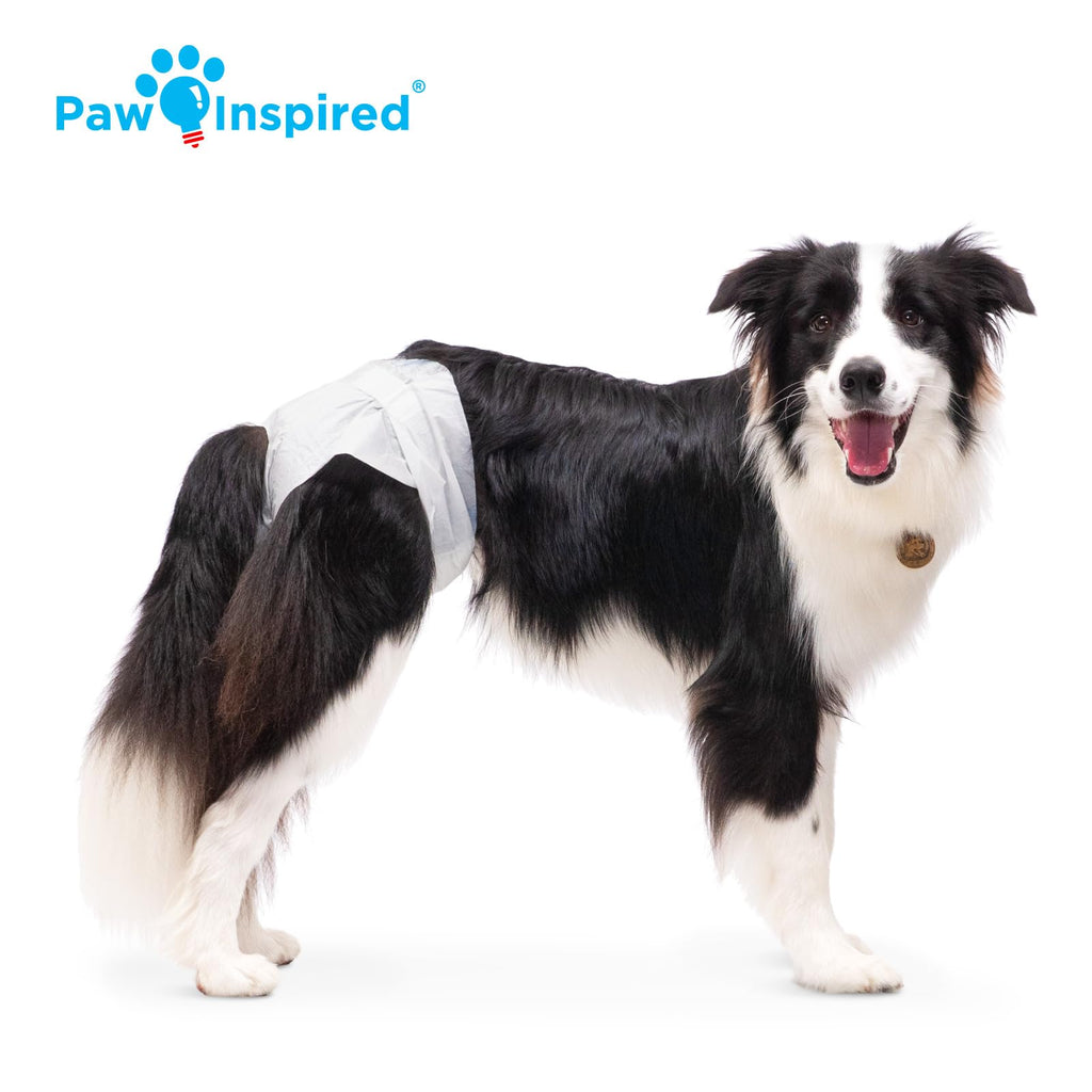 Paw Inspired 32ct Disposable Dog Diapers | Female Dog Diapers Ultra Protection | Diapers for Dogs in Heat, Excitable Urination, or Incontinence (Medium)