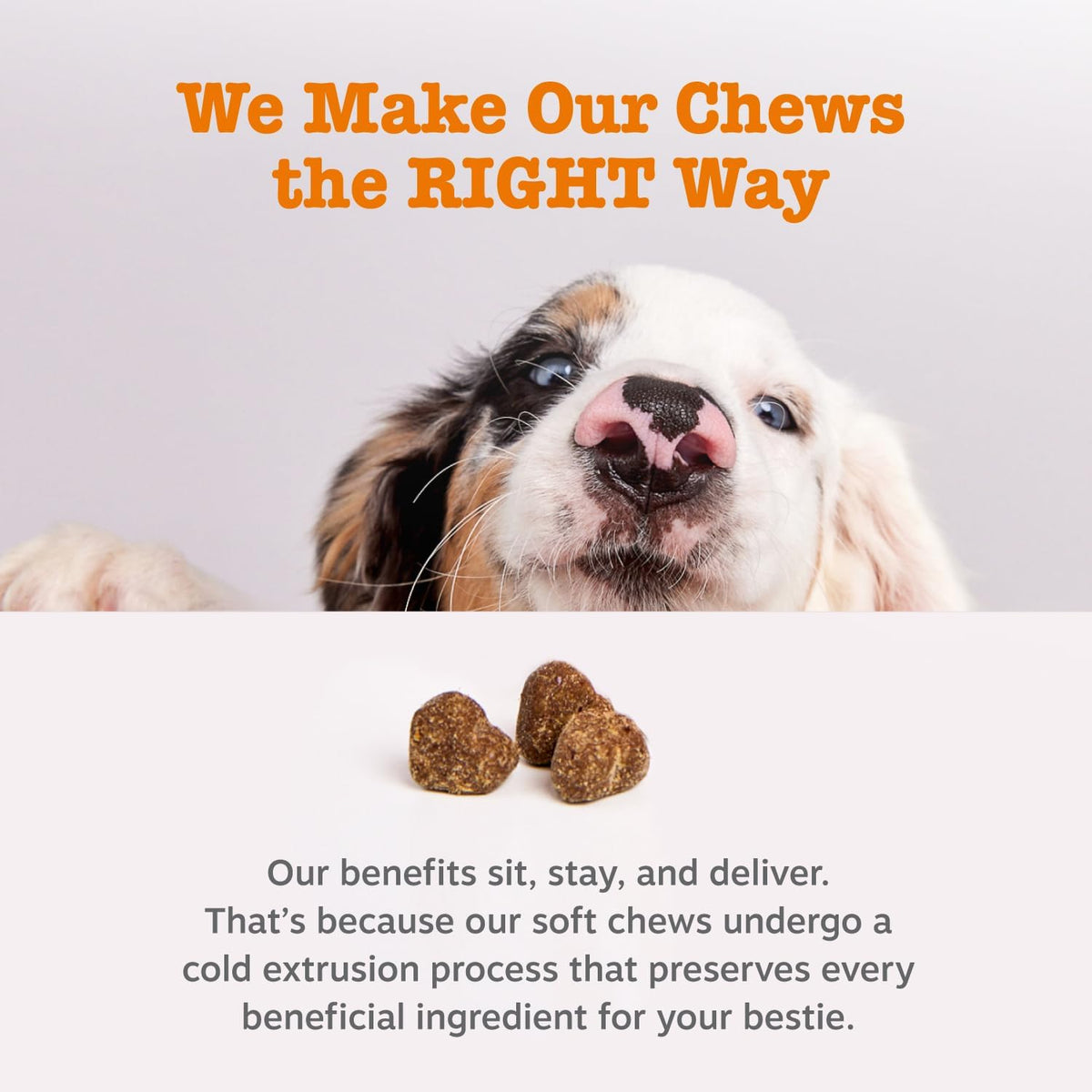 Zesty Paws Dog Allergy Chews - Dog Allergy Relief, Lamb, 90 Ct