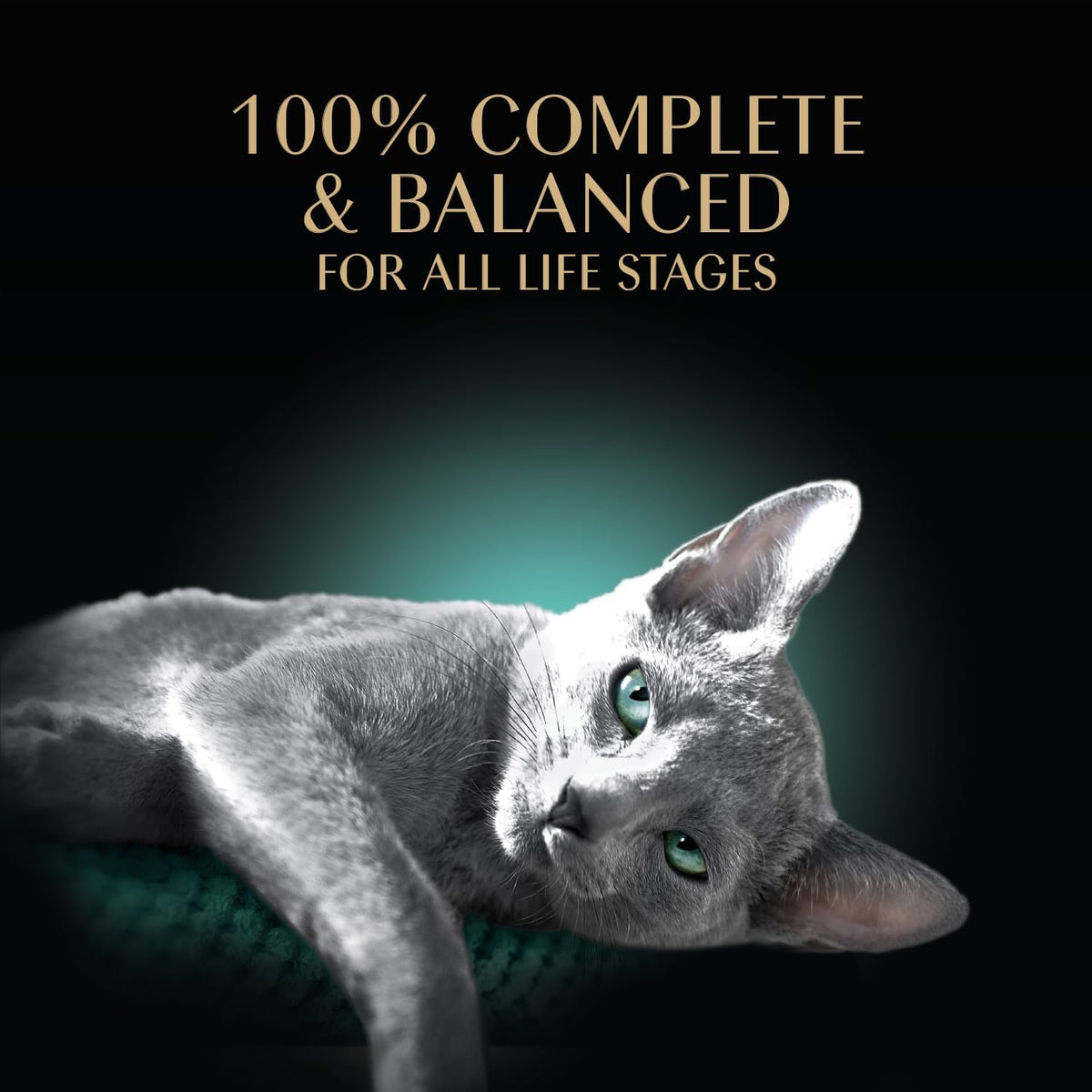 Sheba Perfect Portions Cuts Wet Cat Food, Multipack, 2.6 oz, 24 ct