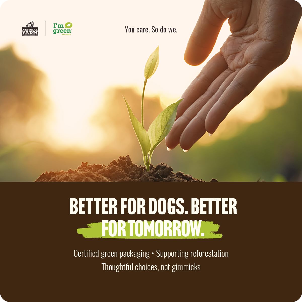 Natural Farm Odor-Free Bully Sticks (6 Inch, 25 count),1.3 lb. Bag, Fully Digestible 100% Beef Pizzle Chews,Grass-Fed, Non-GMO,Grain-Free, Natural Long-Lasting Chews for Small & Large Dogs. Pack of 25