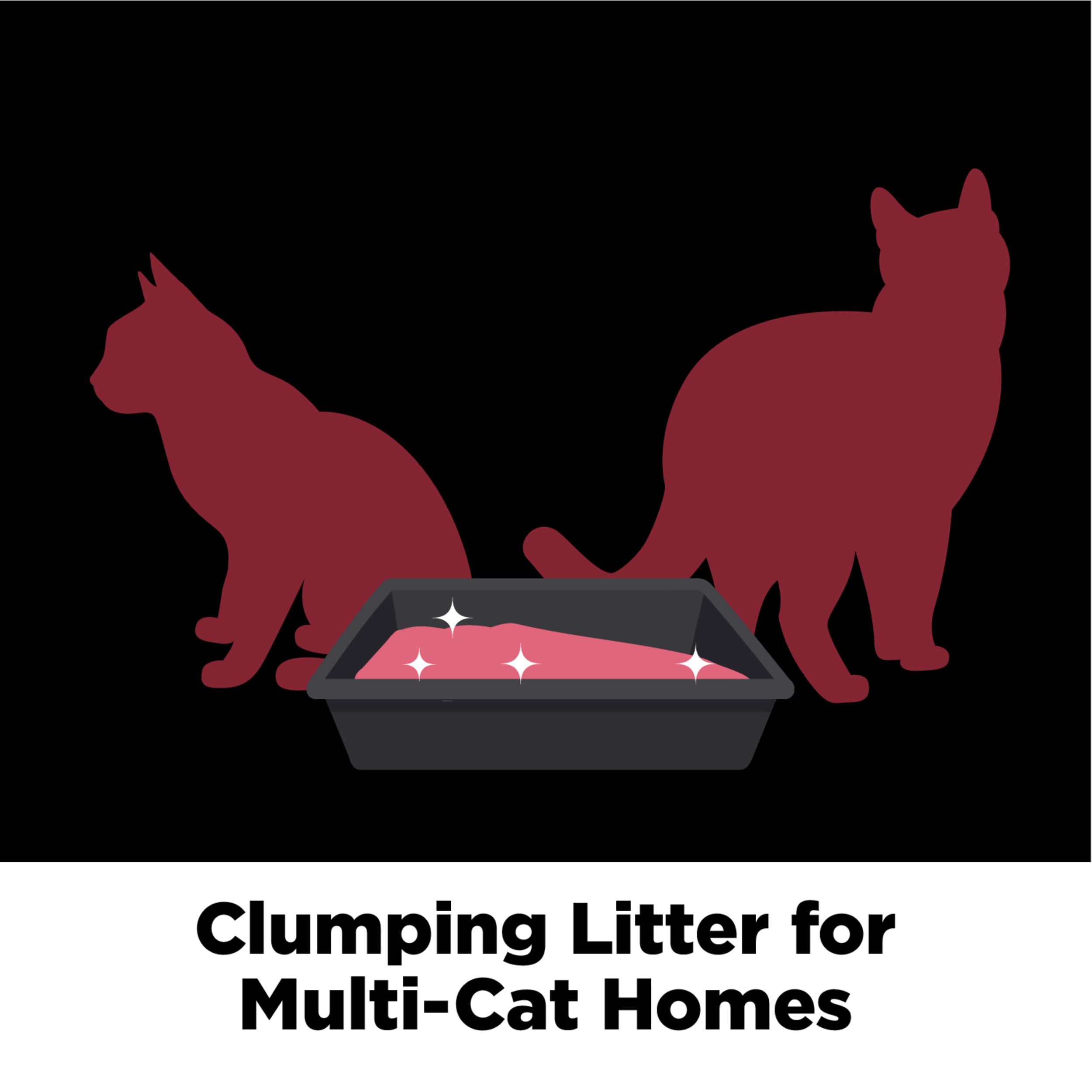 ARM & HAMMER Slide Platinum Easy Clean-Up Clumping Cat Litter, 37 Lbs