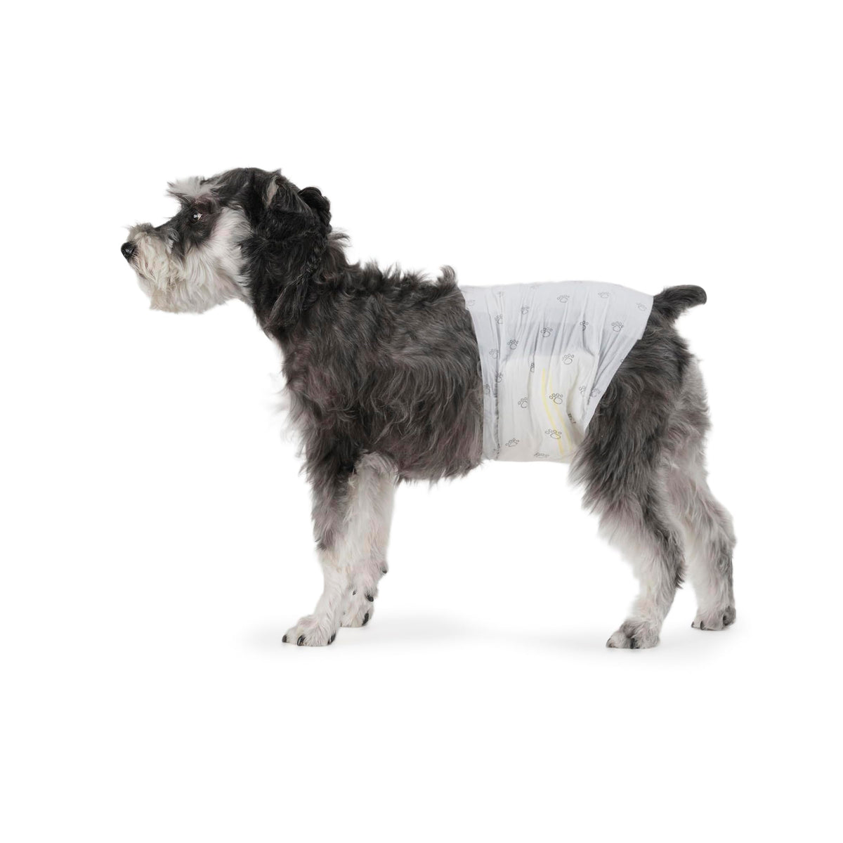 Amazon Basics Absorbent, Leakproof Male Dog Wrap Disposable Diapers with Wetness Indicator, Breathable, Small, White, 50-Pack