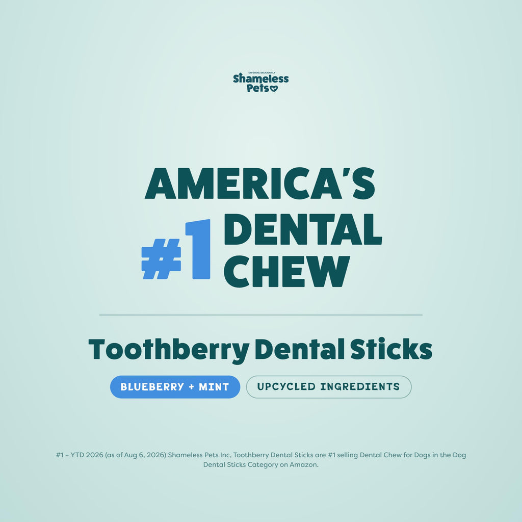 Shameless Pets Blueberry & Mint Dental Chews for Dogs, 8 Chews