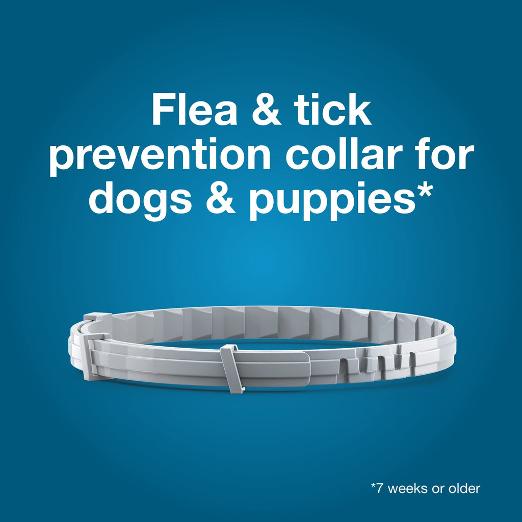 Seresto Large Dog Vet-Recommended Flea & Tick Treatment & Prevention Collar for Dogs Over 18 lbs. | 2-Pack