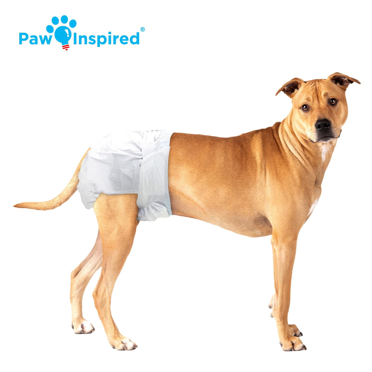 Paw Inspired 32ct Disposable Dog Diapers | Female Dog Diapers Ultra Protection | Diapers for Dogs in Heat, Excitable Urination, or Incontinence (Medium)