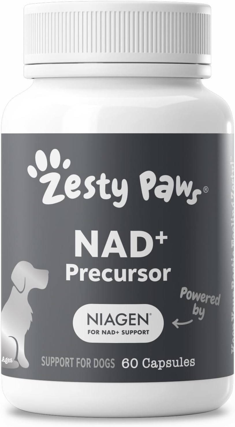 Zesty Paws Dog Vitamins - Dog Multivitamin Chews, Bison, 90 Ct