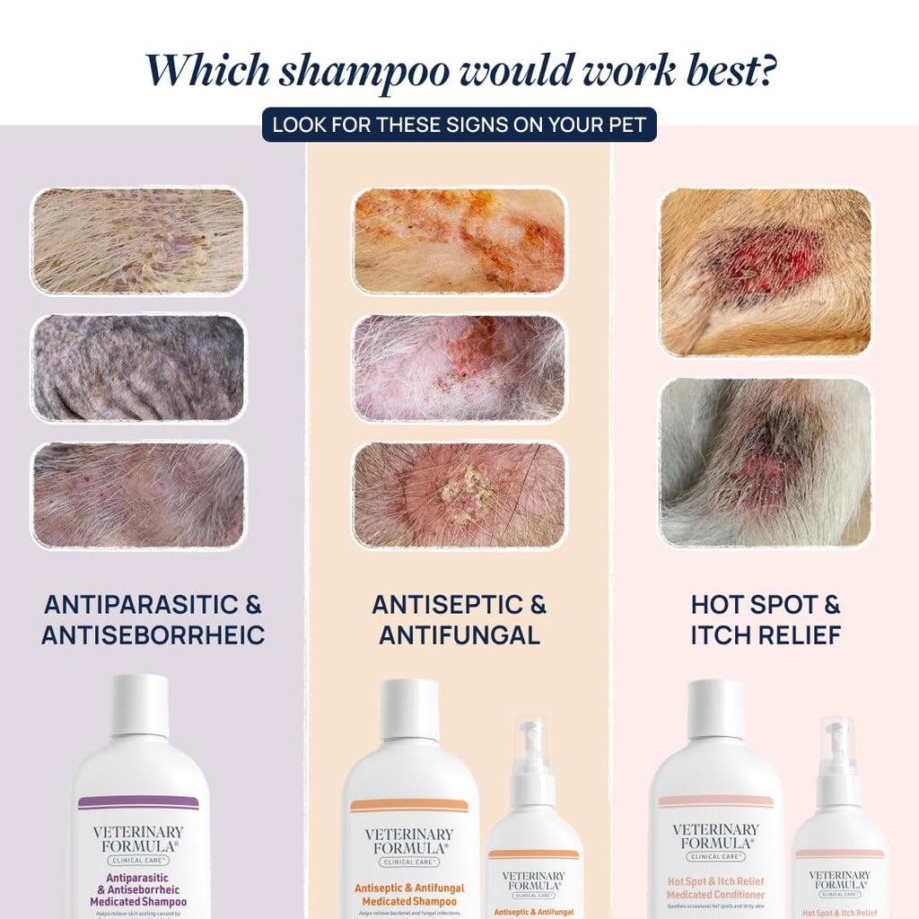 Veterinary Formula Clinical Care Antiseptic & Antifungal Shampoo, 16 oz