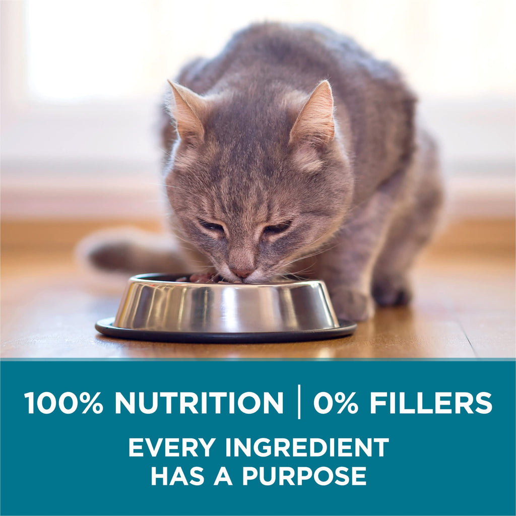 Purina ONE Tender Selects Dry Cat Food, Salmon, 7 lb Bag
