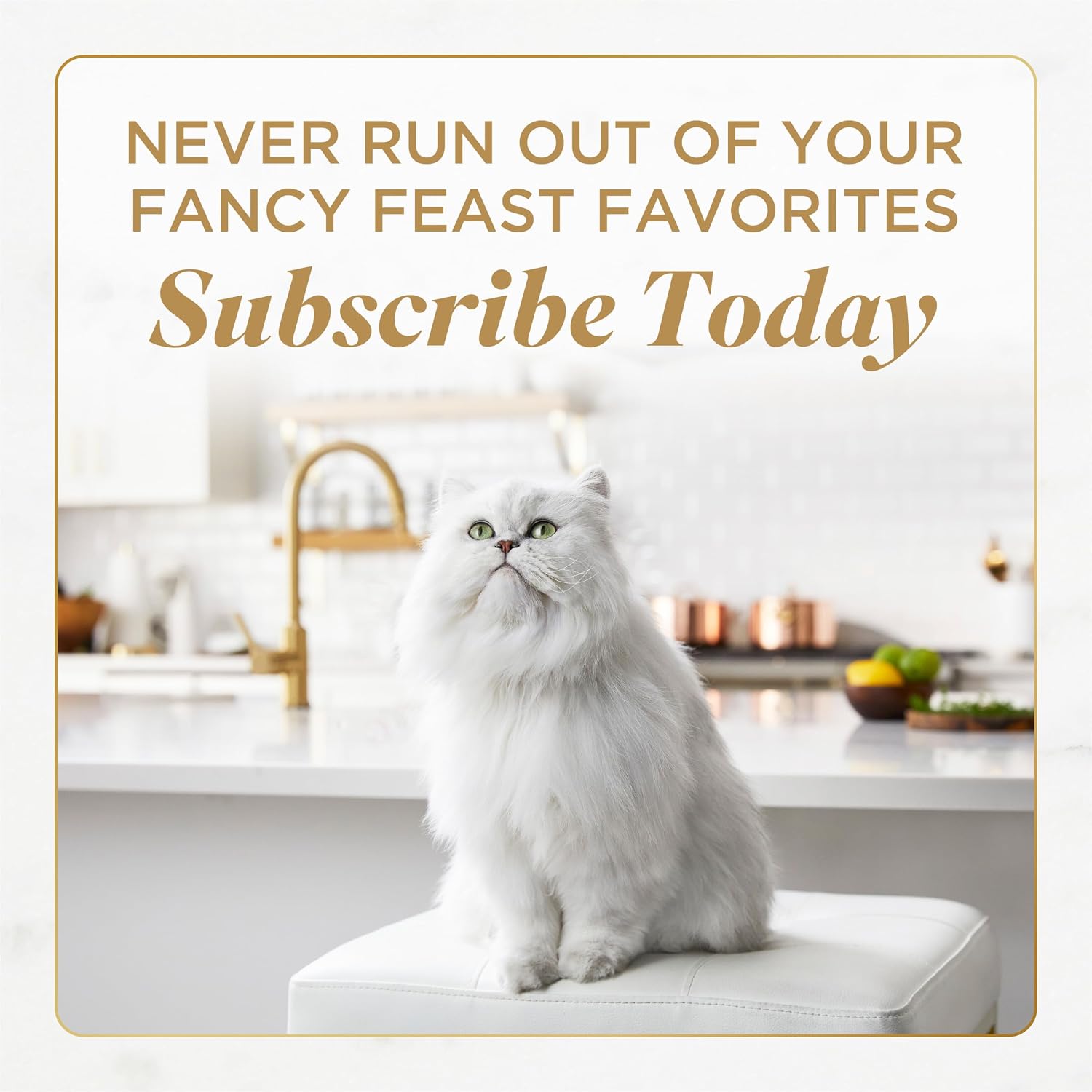 Purina Fancy Feast Gravy Lovers, Poultry & Beef Wet Cat Food, 3oz, 24-Pack