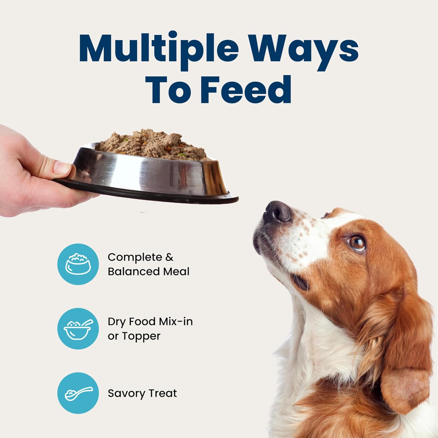 Blue Buffalo Homestyle Recipe Chicken Adult Wet Dog Food, 12.5 oz, 12 ct