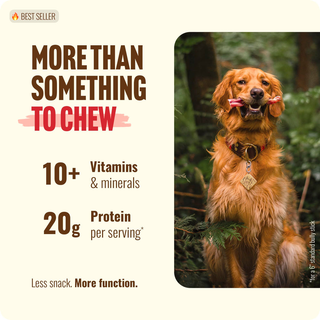 Natural Farm Odor-Free Bully Sticks (6 Inch, 25 count),1.3 lb. Bag, Fully Digestible 100% Beef Pizzle Chews,Grass-Fed, Non-GMO,Grain-Free, Natural Long-Lasting Chews for Small & Large Dogs. Pack of 25