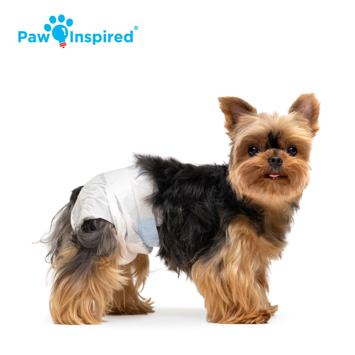 Paw Inspired 32ct Disposable Dog Diapers | Female Dog Diapers Ultra Protection | Diapers for Dogs in Heat, Excitable Urination, or Incontinence (Medium)
