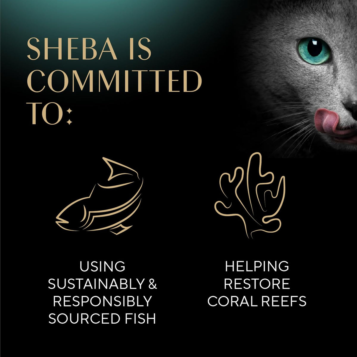 Sheba Perfect Portions Cuts Wet Cat Food, Multipack, 2.6 oz, 24 ct