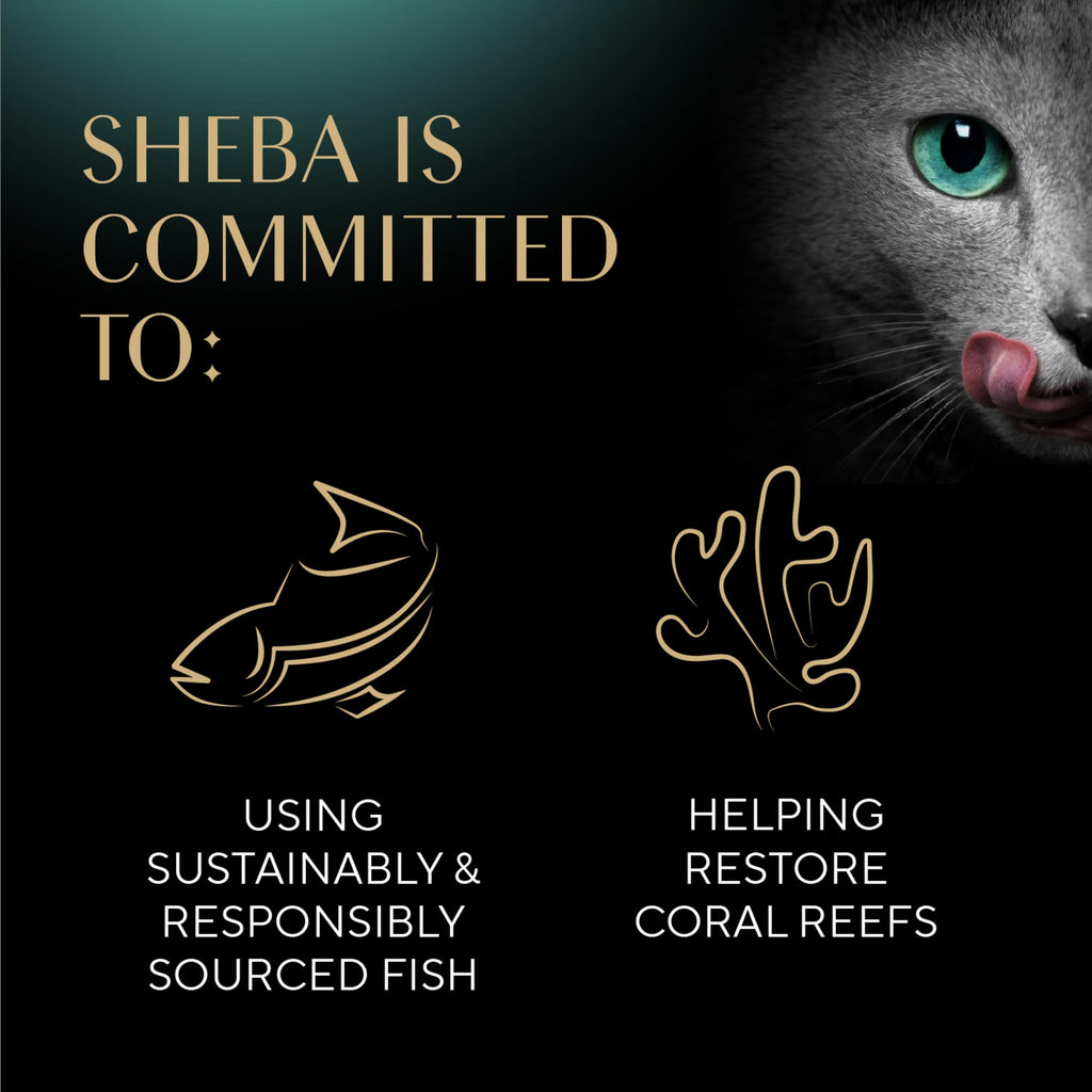 Sheba Perfect Portions Pate Wet Cat Food, Seafood Variety, 2.6 oz, 24 ct