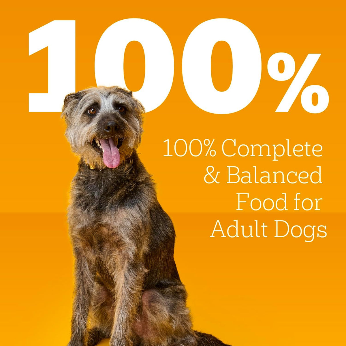 Pedigree Choice Cuts Wet Dog Food, Beef & Country Stew, 13.2 oz, 12 Count