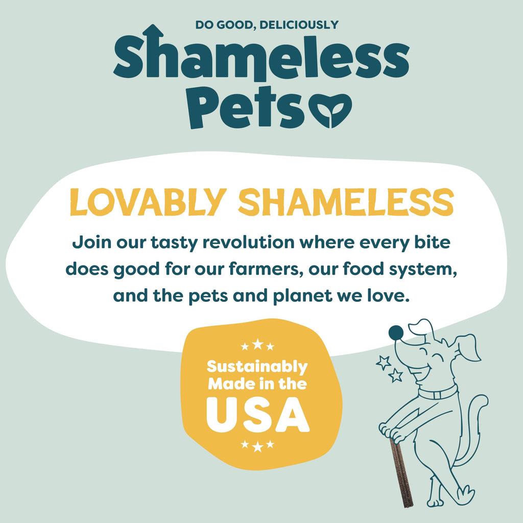 Shameless Pets Blueberry & Mint Dental Chews for Dogs, 8 Chews
