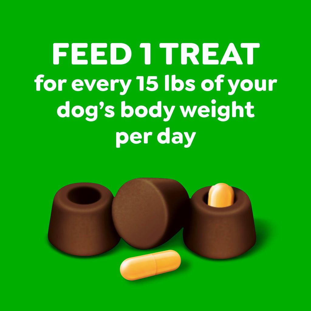 Greenies Pill Pockets Large Size Dog Treats, Peanut Butter, 15.8 oz