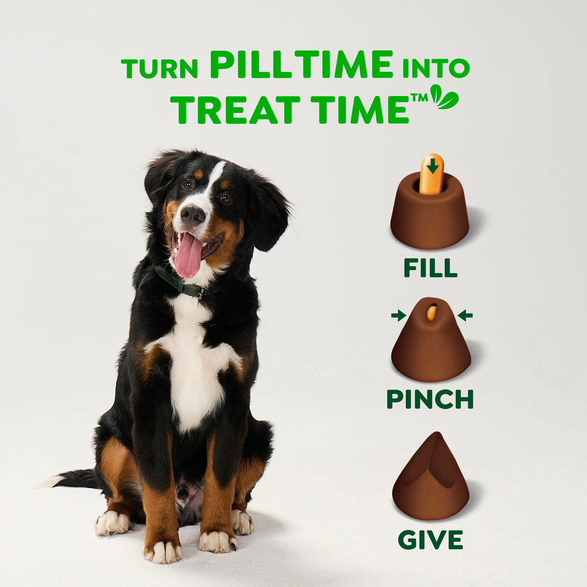 Greenies Pill Pockets Large Size Dog Treats, Peanut Butter, 15.8 oz
