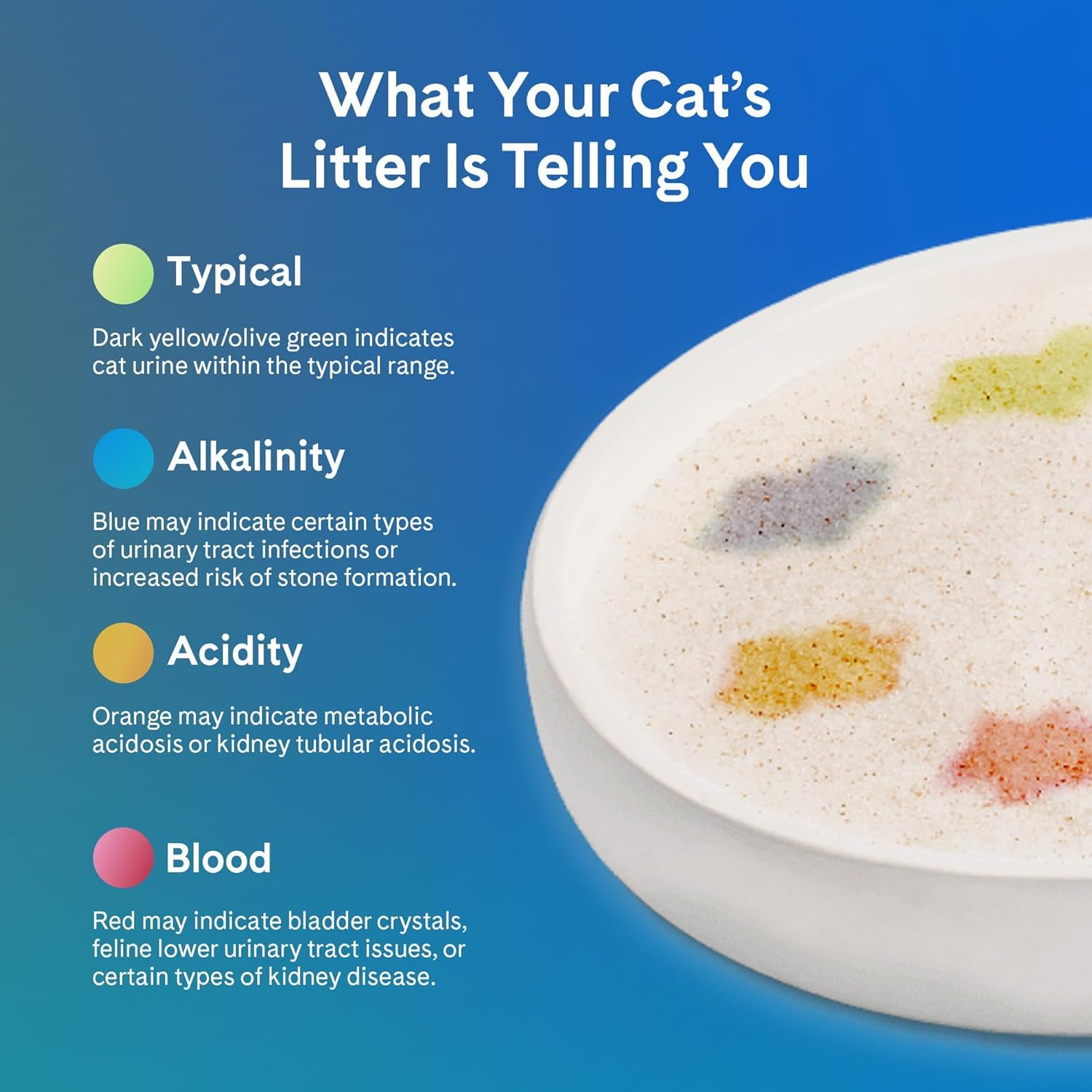 PrettyLitter Health Monitoring Cat Litter, Unscented, 6 lb. Bag