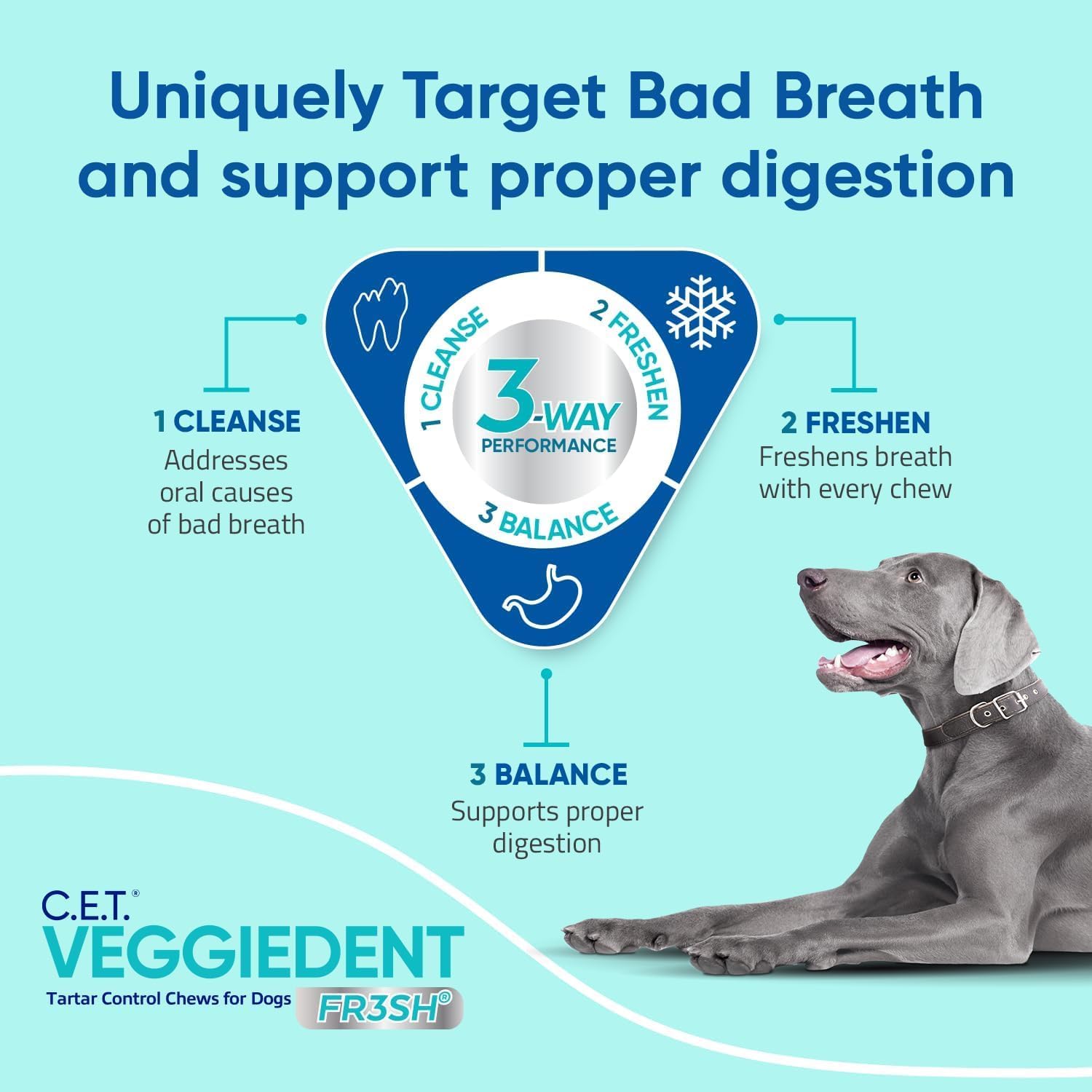 C.E.T. Veggiedent Fr3sh Plaque and Tartar Control Chews for Dogs, Medium