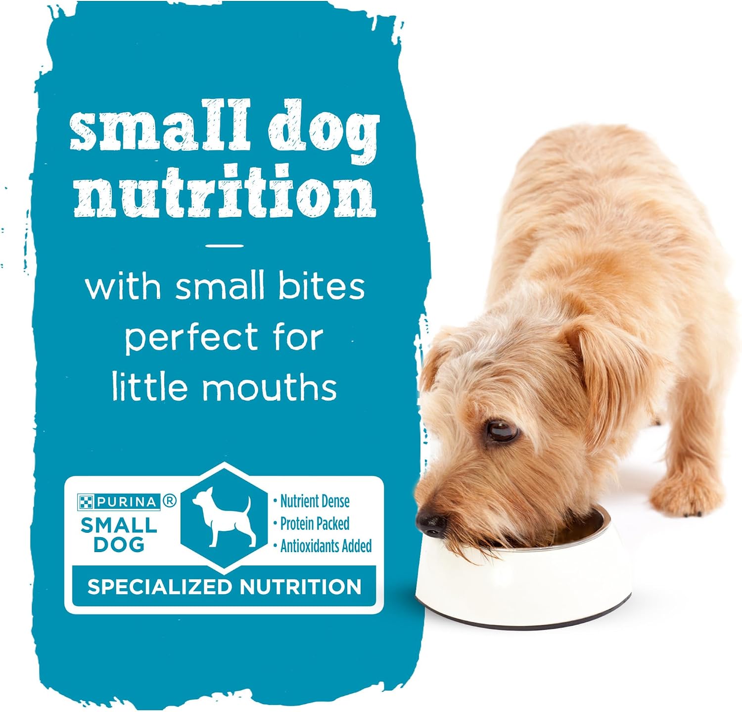 Purina Beneful Small Breed Wet Dog Food Variety Pack, (30) 3 oz Cans