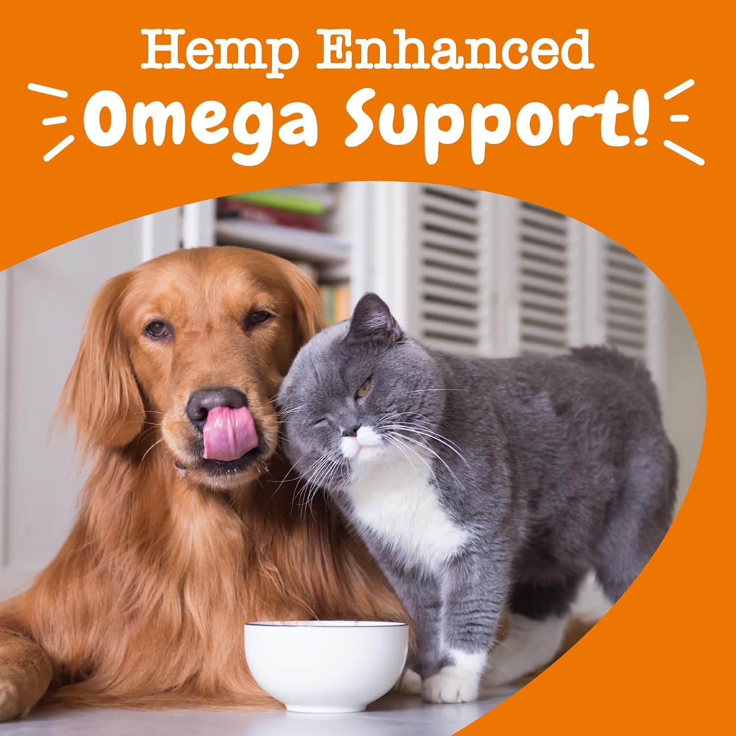 Zesty Paws Salmon Oil for Dogs & Cats - Omega 3 for Dogs 8.5oz