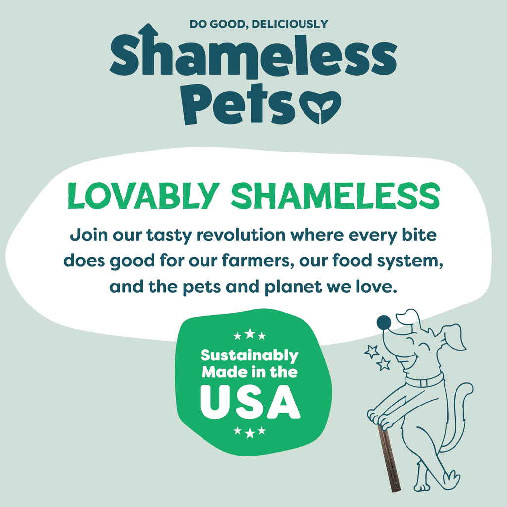 Shameless Pets Blueberry & Mint Dental Chews for Dogs, 8 Chews