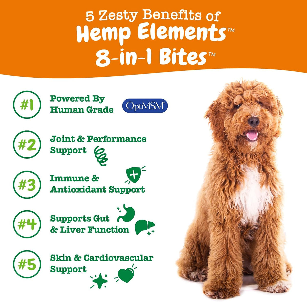 Zesty Paws Dog Vitamins - Dog Multivitamin Chews, Bison, 90 Ct