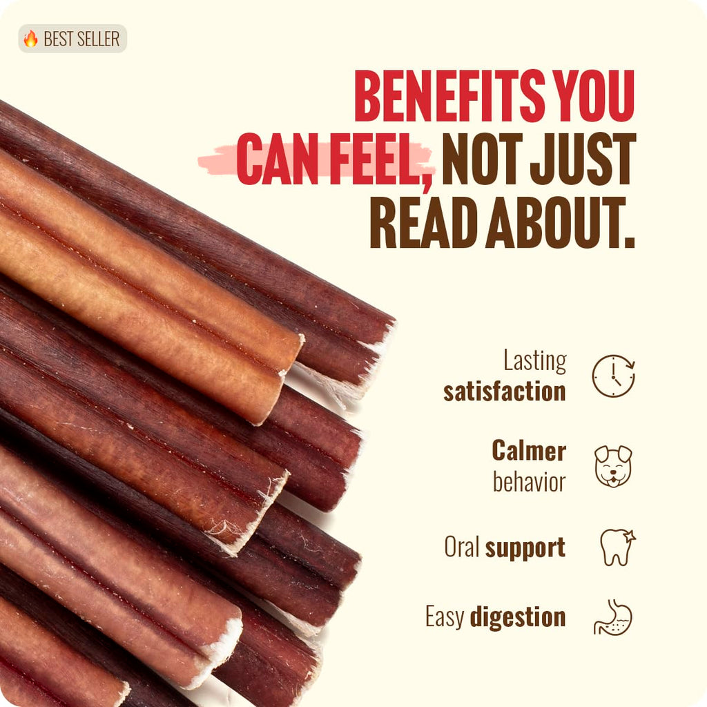 Natural Farm Odor-Free Bully Sticks (6 Inch, 25 count),1.3 lb. Bag, Fully Digestible 100% Beef Pizzle Chews,Grass-Fed, Non-GMO,Grain-Free, Natural Long-Lasting Chews for Small & Large Dogs. Pack of 25
