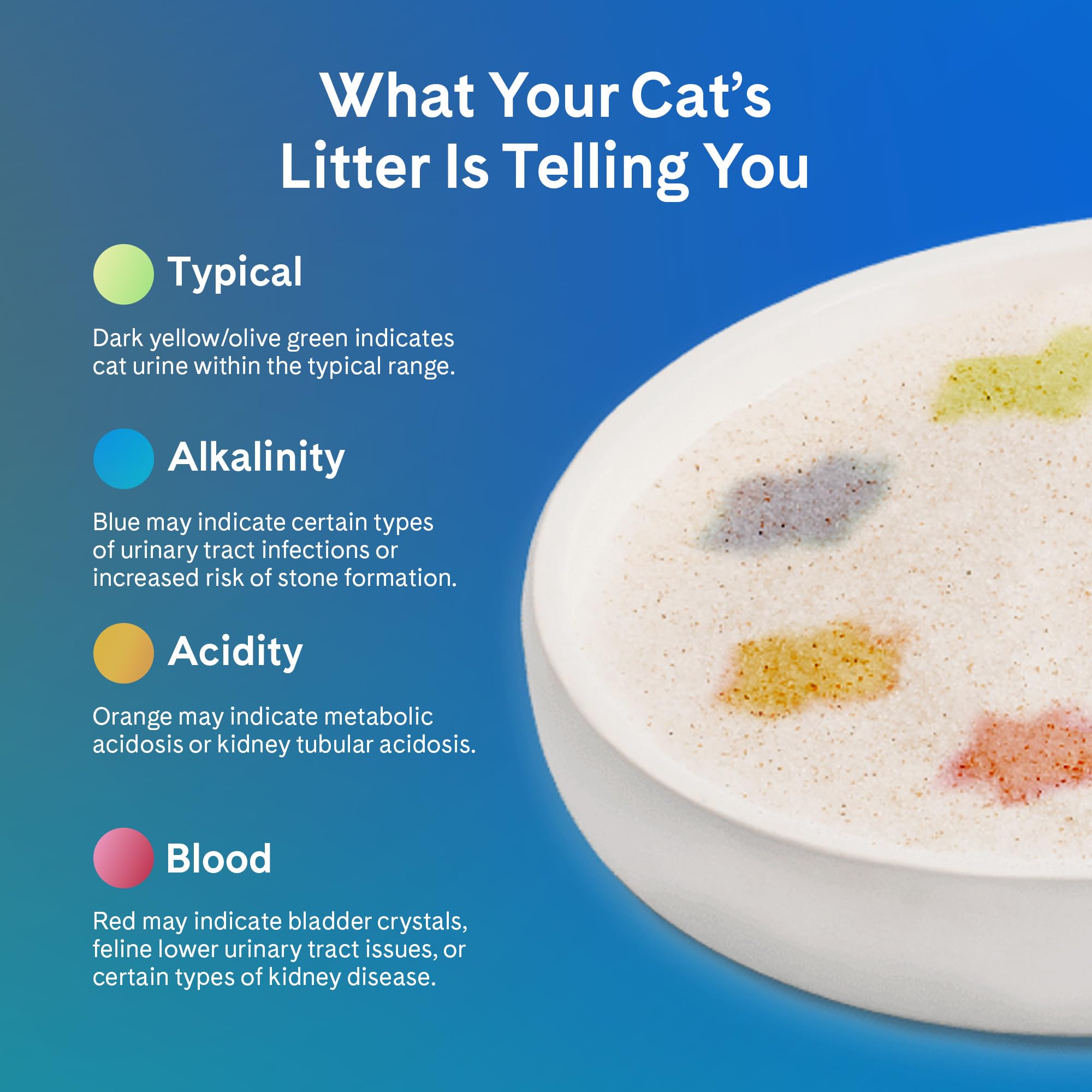 PrettyLitter Health Monitoring Cat Litter, Unscented, 6 lb. Bag