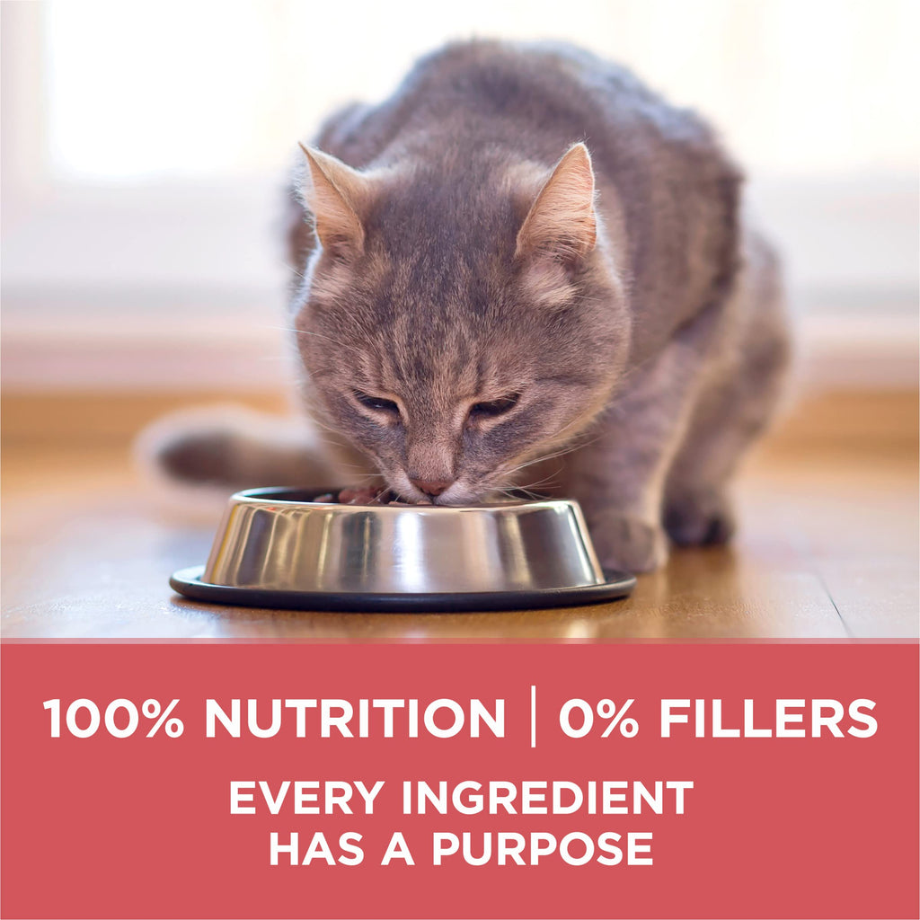Purina ONE Indoor Advantage Weight Control Dry Cat Food, 16 lb Bag