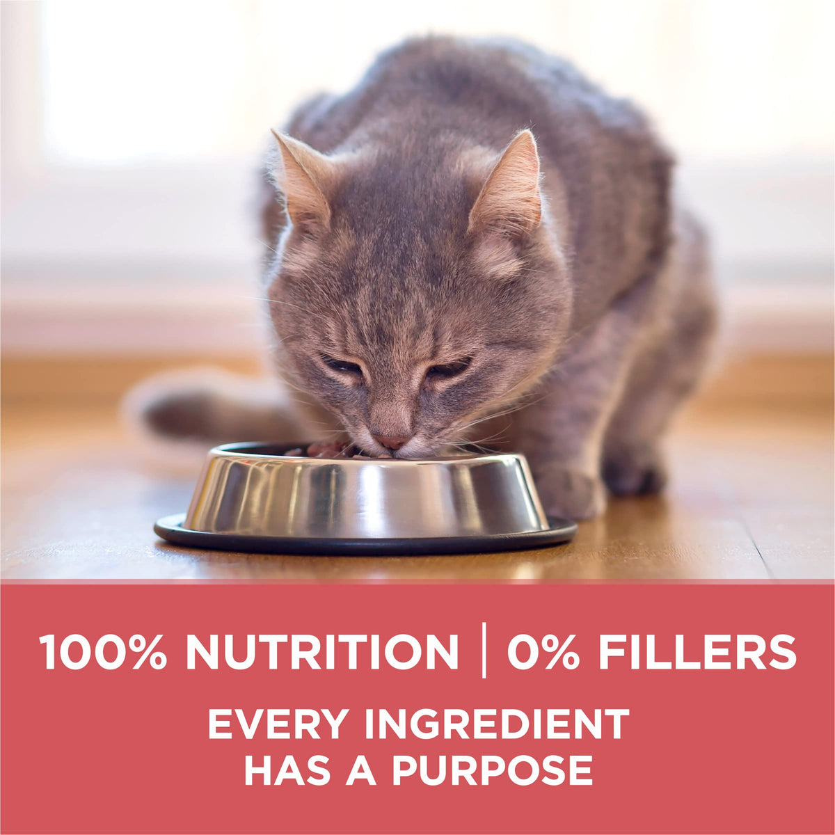 Purina ONE Indoor Advantage Weight Control Dry Cat Food, 16 lb Bag