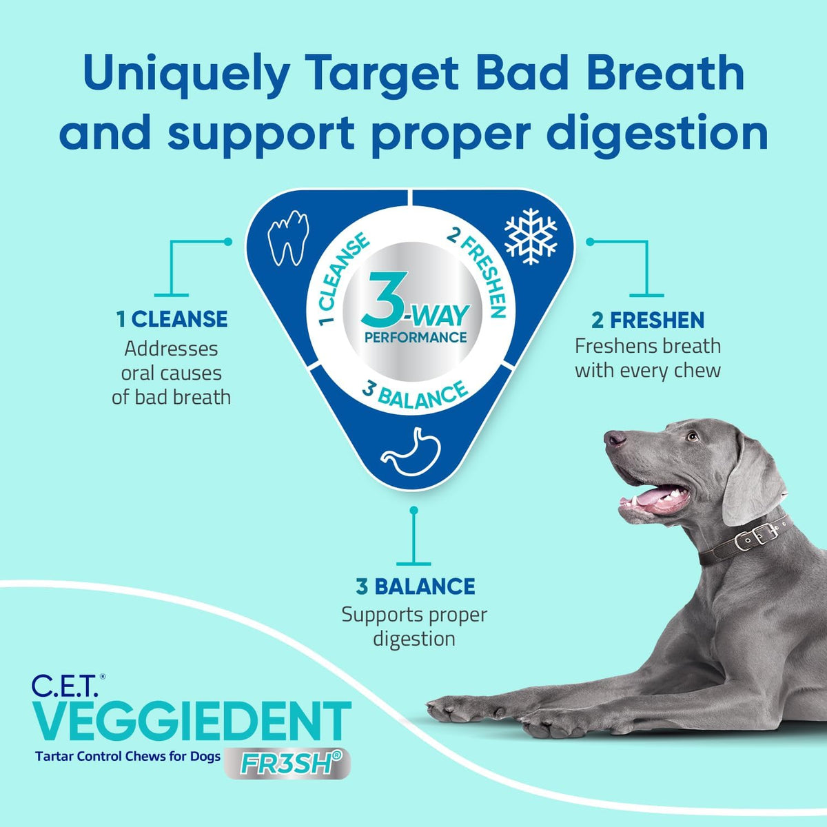 C.E.T. Veggiedent Fr3sh Plaque and Tartar Control Chews for Dogs, Medium
