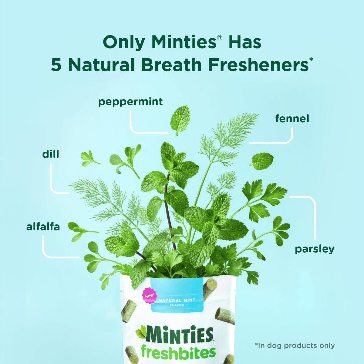 Minties Dental Chews for Dogs, 36 Count, Vet-Recommended Mint-Flavored Dog Treats for Large Breeds Over 50 lbs, Dental Bones Clean Teeth, Fight Bad Breath, Removes Plaque and Tartar