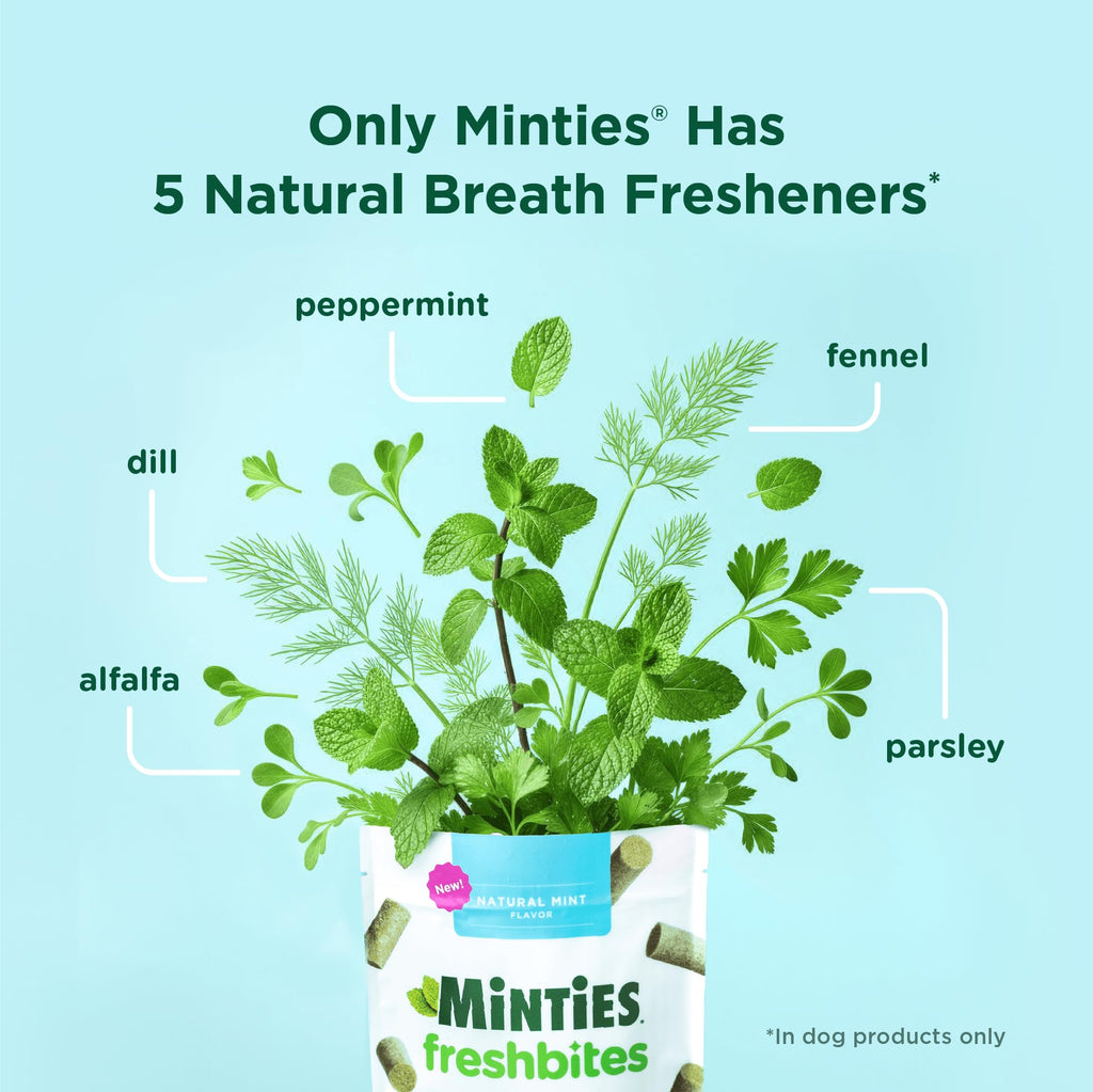 Minties Dental Chews for Dogs, 36 Count, Vet-Recommended Mint-Flavored Dog Treats for Large Breeds Over 50 lbs, Dental Bones Clean Teeth, Fight Bad Breath, Removes Plaque and Tartar