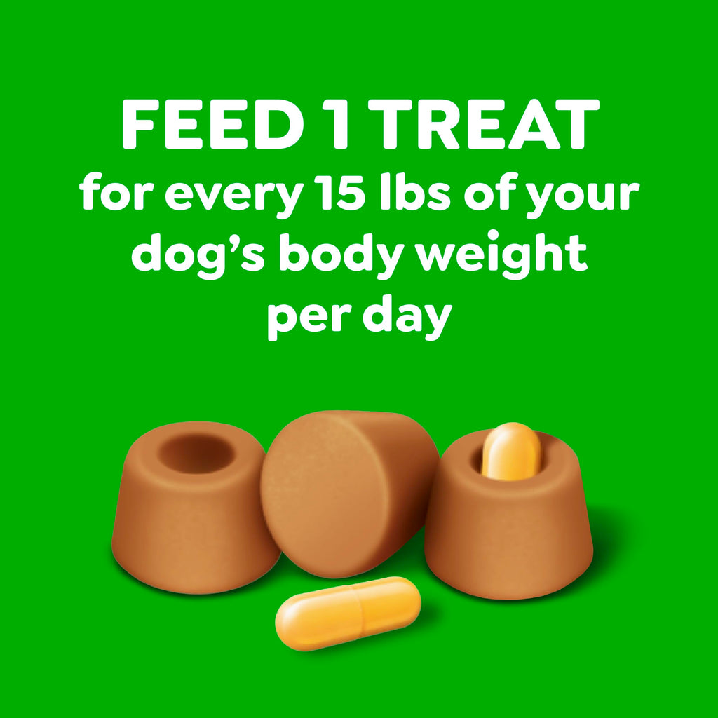 Greenies Pill Pockets Large Size Dog Treats, Peanut Butter, 15.8 oz