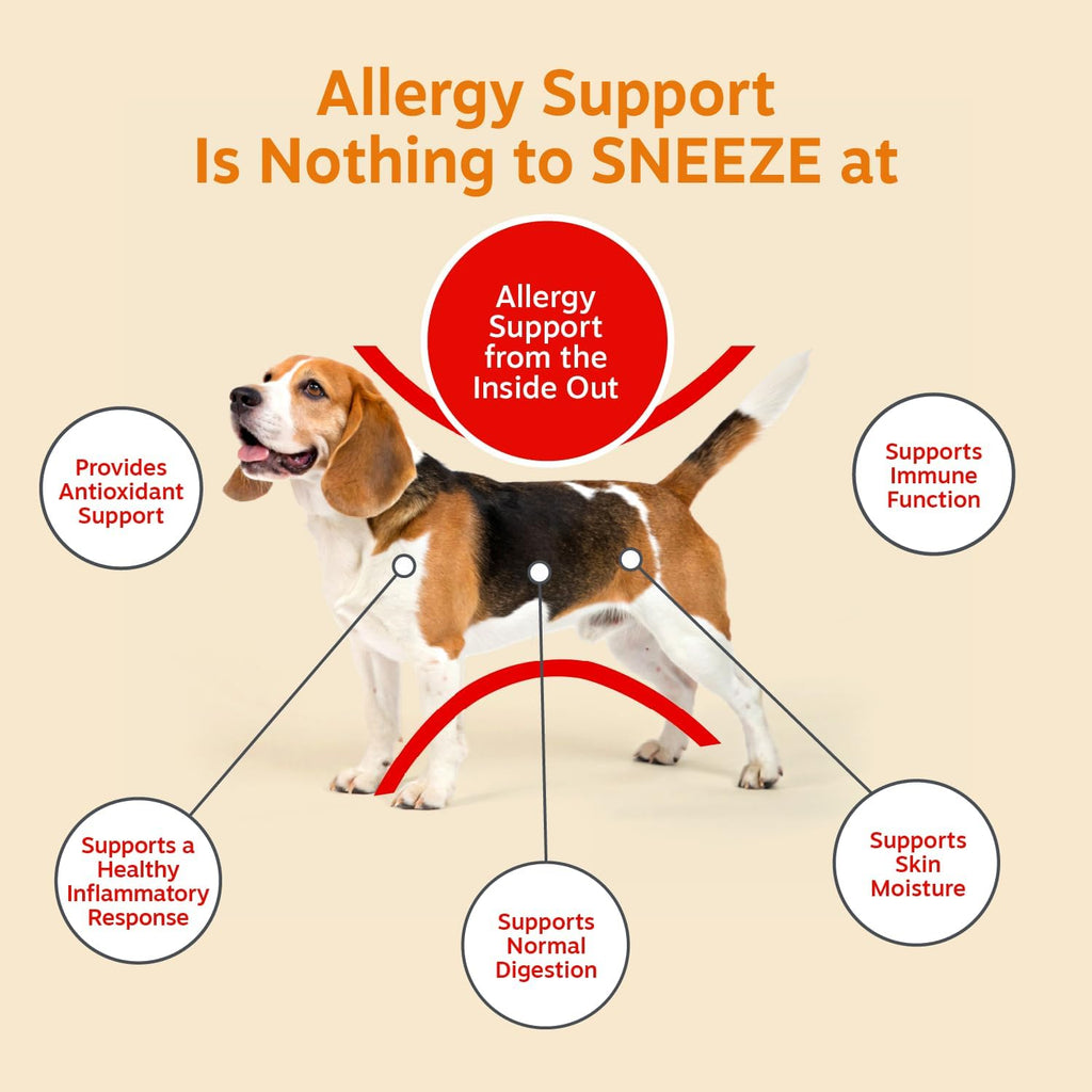 Zesty Paws Dog Allergy Chews - Dog Allergy Relief, Lamb, 90 Ct
