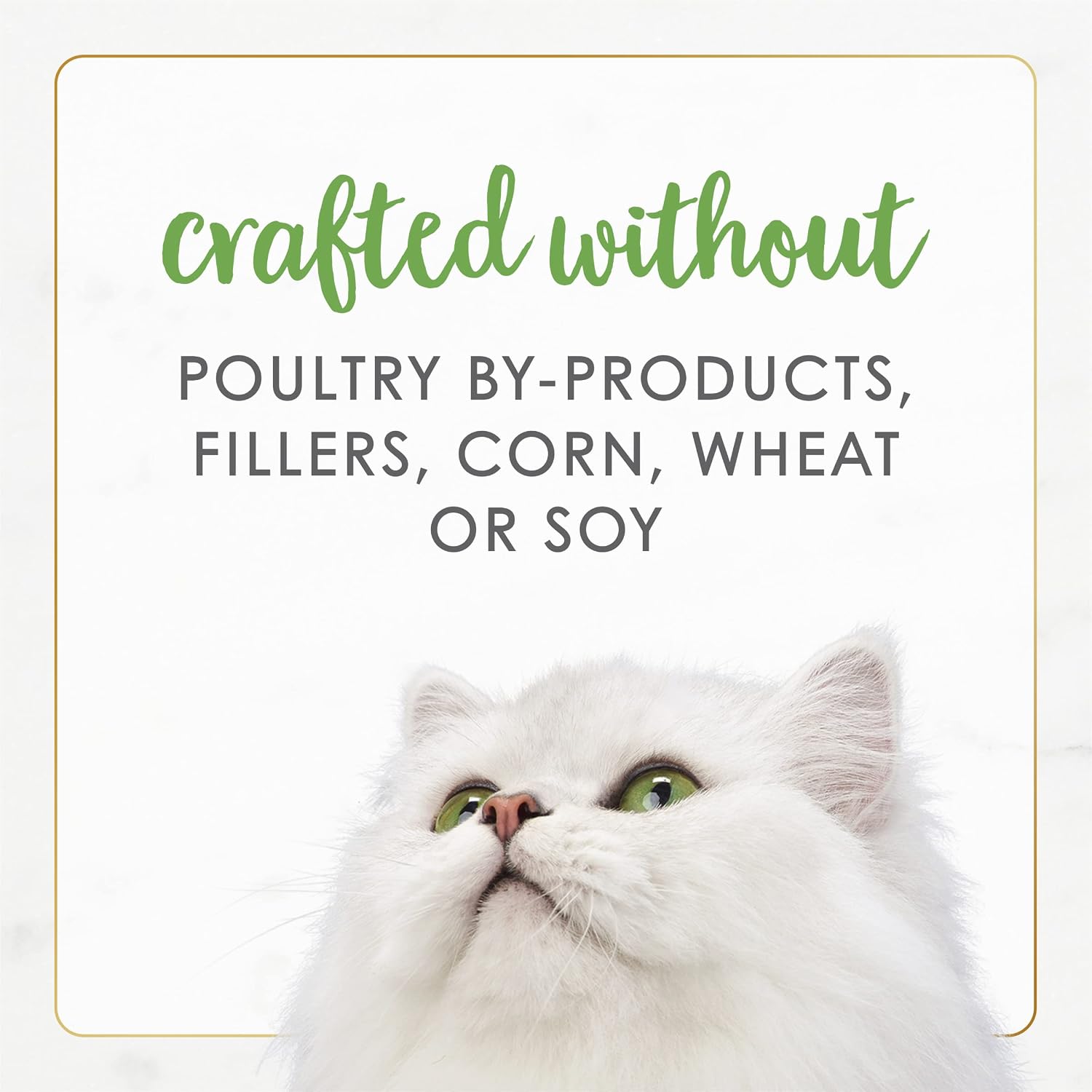 Purina Fancy Feast Gravy Lovers, Poultry & Beef Wet Cat Food, 3oz, 24-Pack