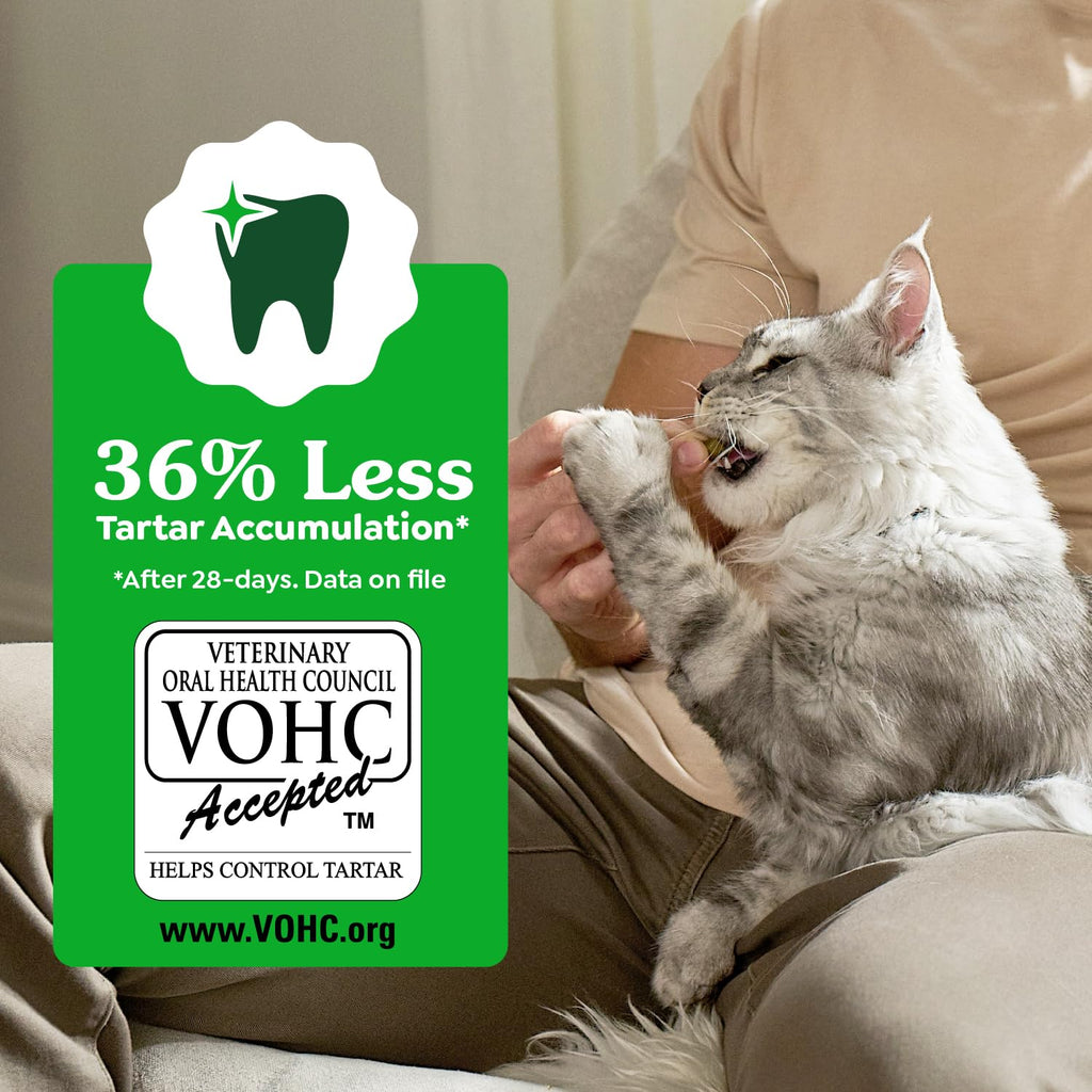 Greenies Feline Natural Dental Cat Treats, Roasted Chicken Flavor, 9.75 oz