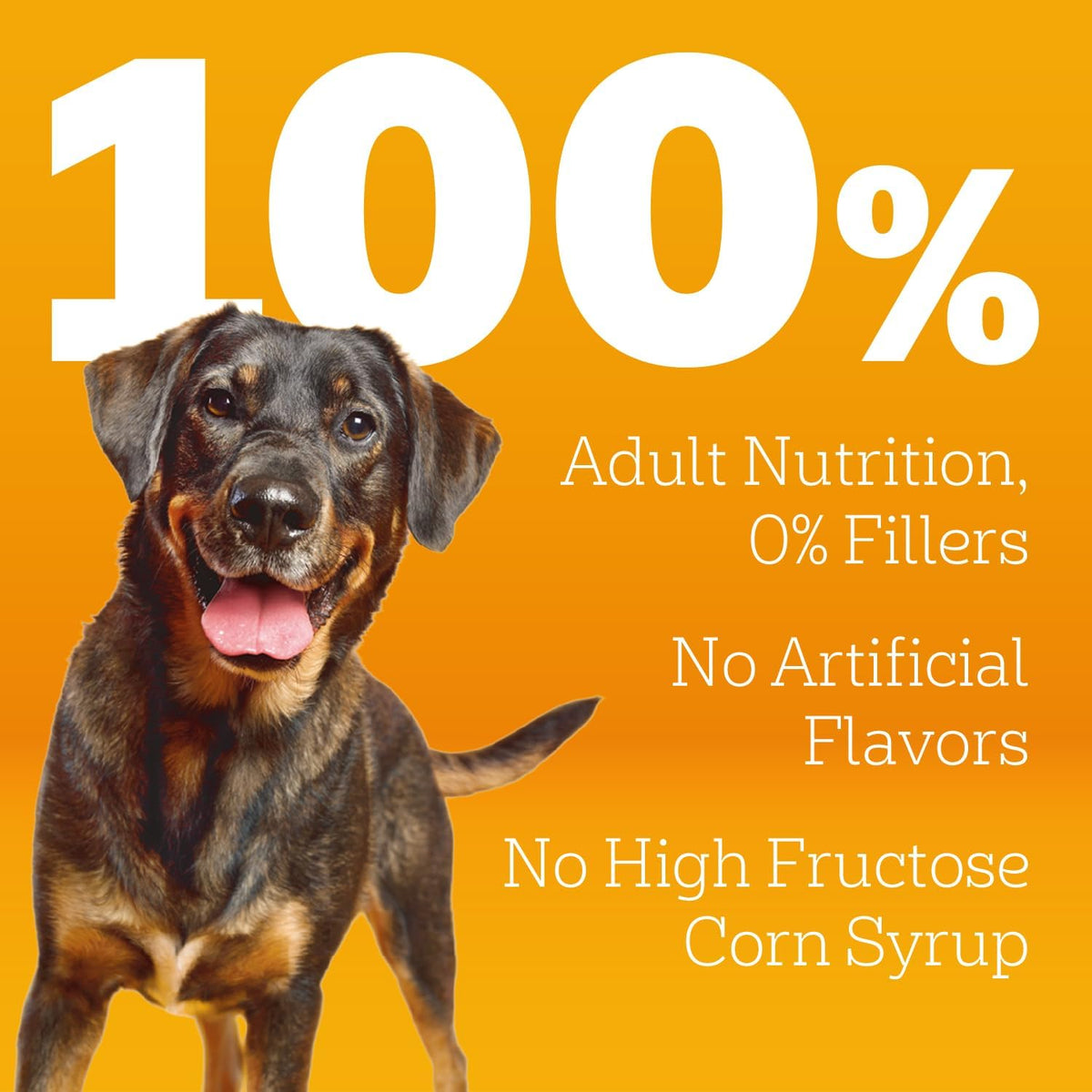 Pedigree Complete Nutrition Dry Dog Food, Chicken & Vegetable, 3.5 lb