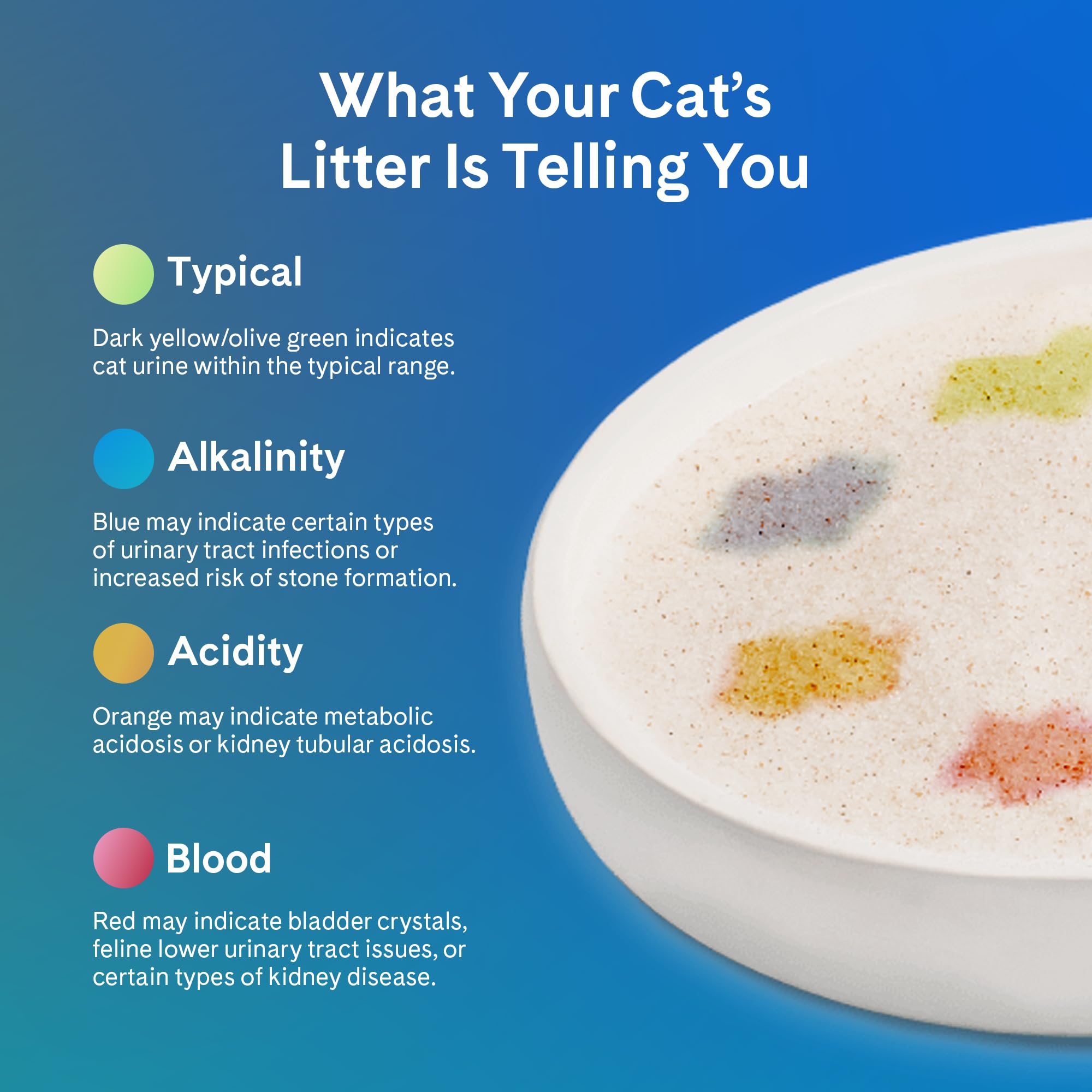 PrettyLitter Health Monitoring Cat Litter, Unscented, 6 lb. Bag