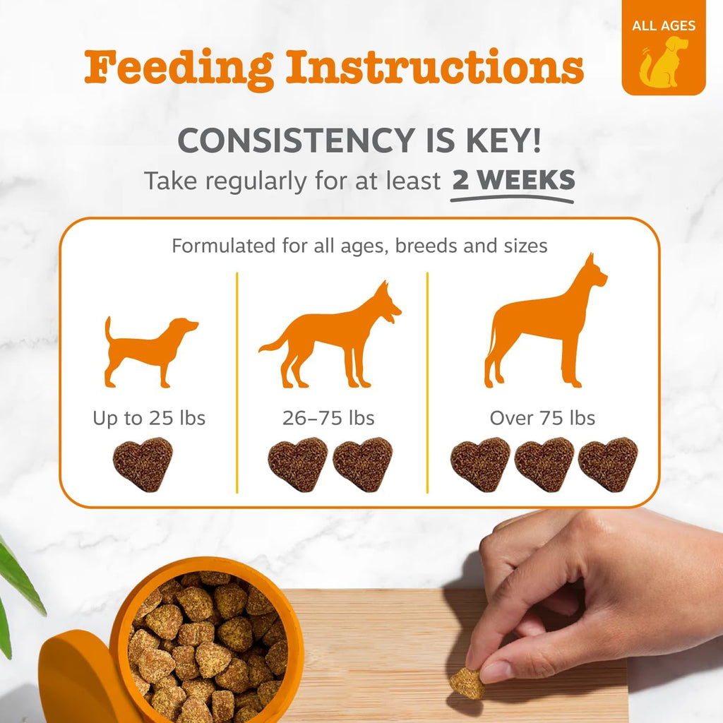 Zesty Paws Dog Allergy Chews - Dog Allergy Relief, Lamb, 90 Ct