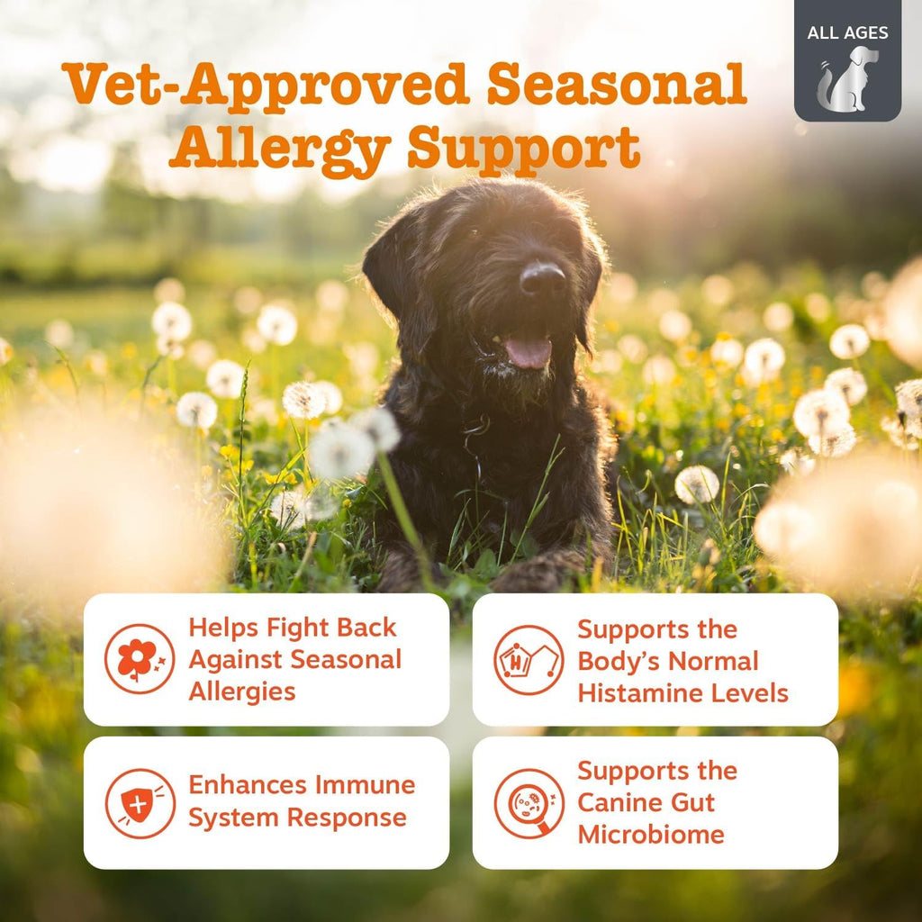 Zesty Paws Dog Allergy Chews - Dog Allergy Relief, Lamb, 90 Ct