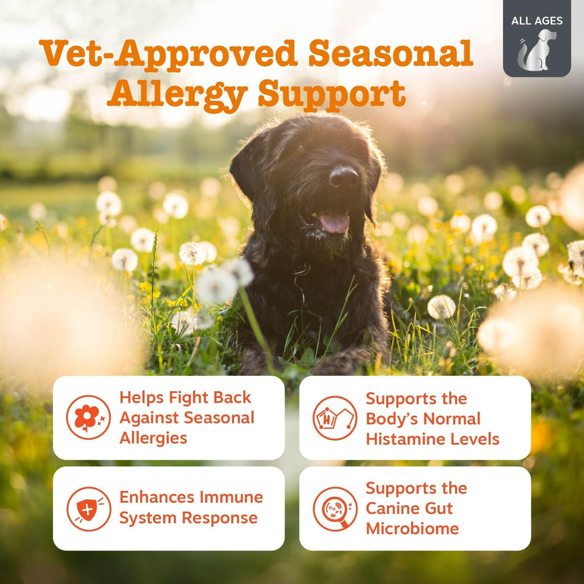Zesty Paws Dog Allergy Chews - Dog Allergy Relief, Lamb, 90 Ct